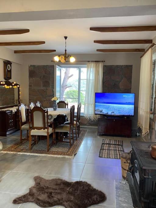 Dikili - Kıroba Çamlıkonak taş villa