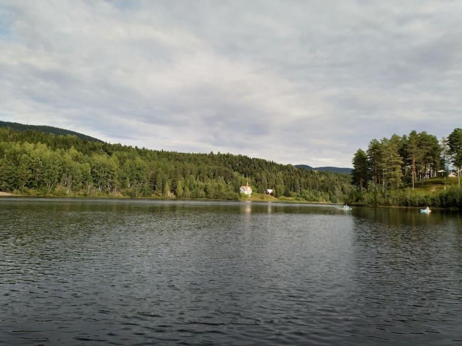 Photo 23