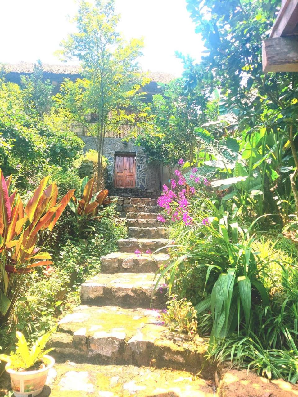 Trang trại nghỉ dưỡng Việt Thành Hill view 3