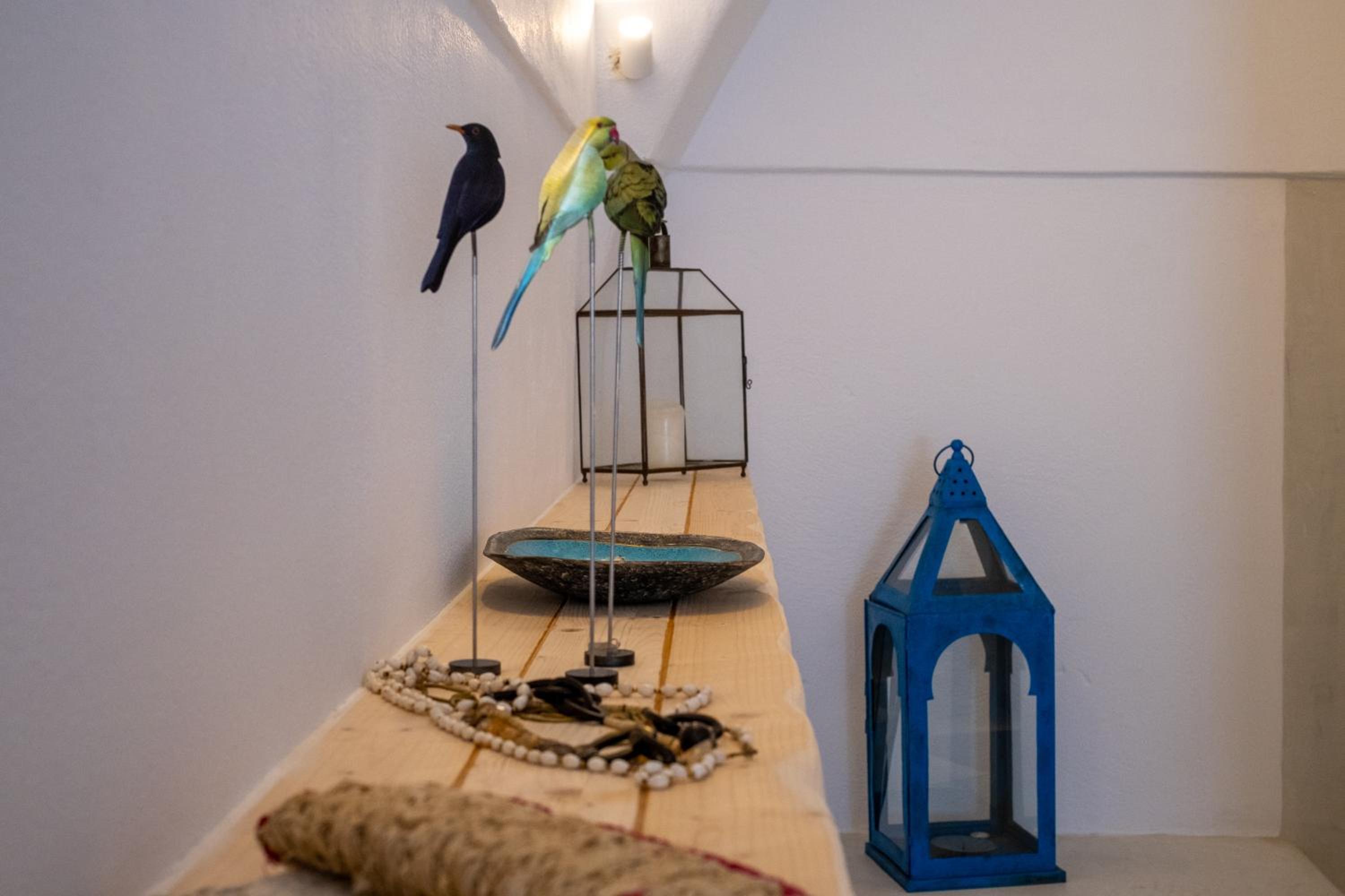 Photo 34