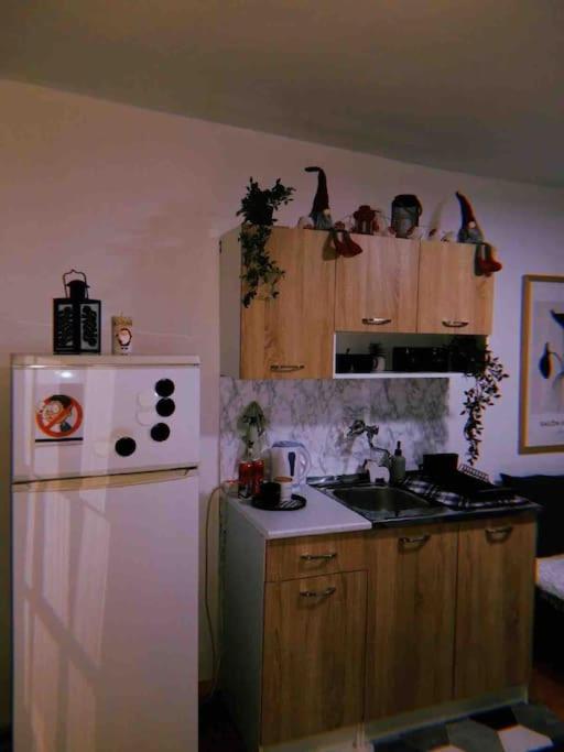Holiday house Lola