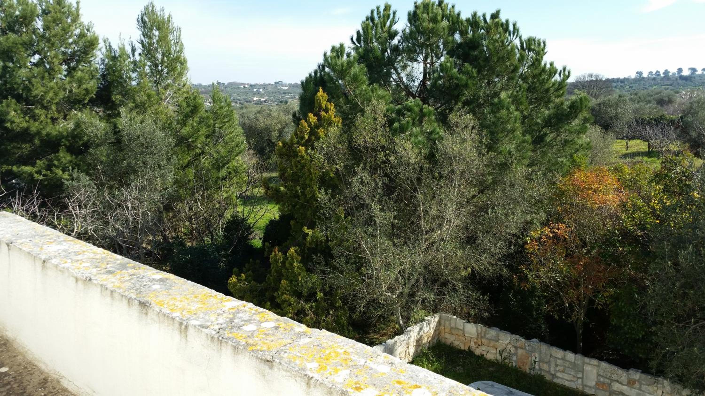 Masseria Lama Piccola