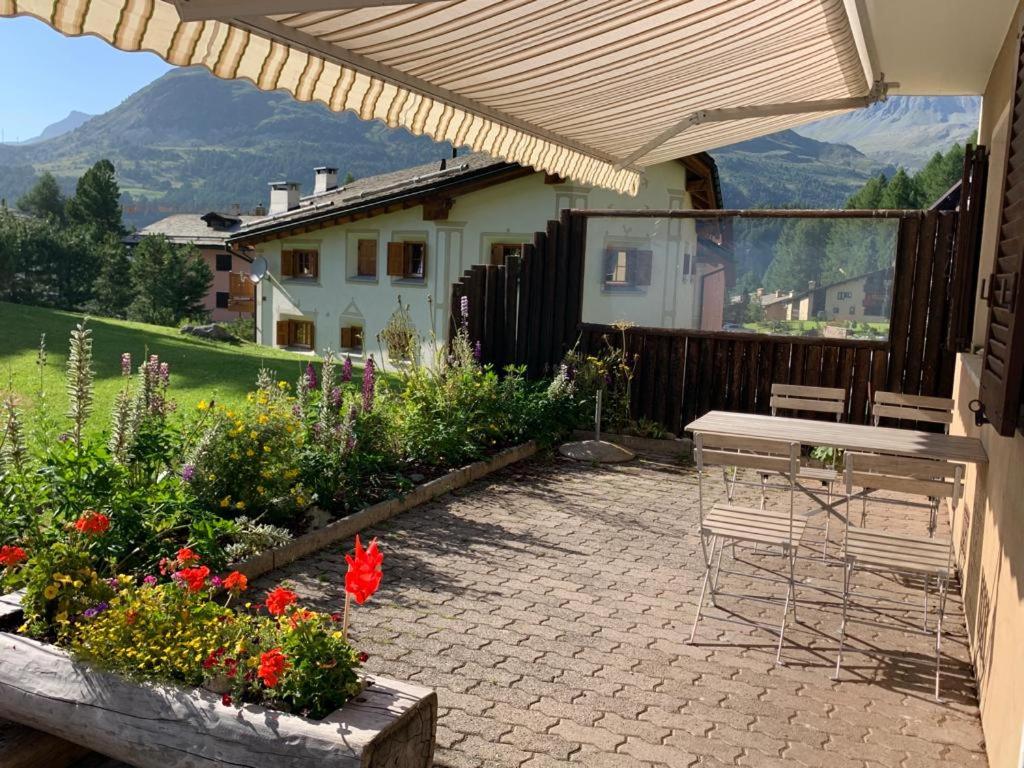 Familienwohnung Epomeo Surlej