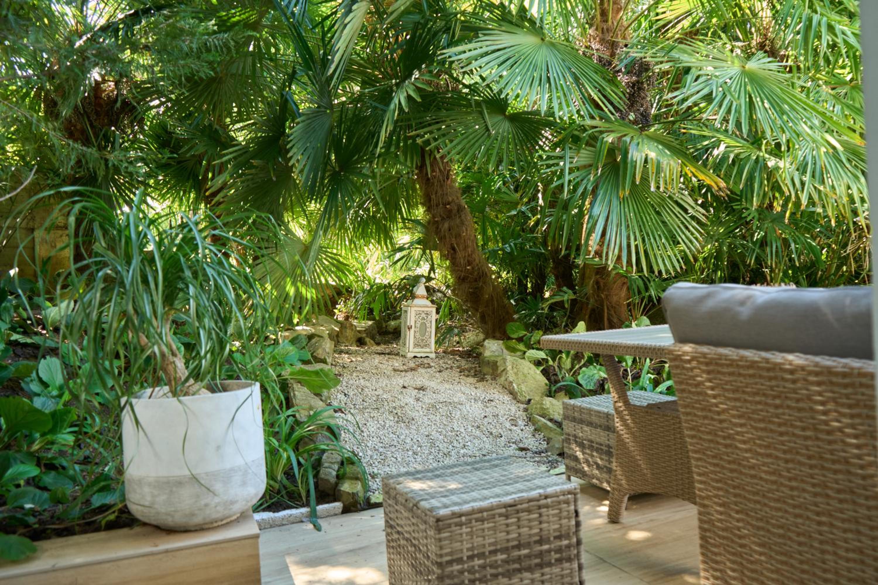 Habitación oasis