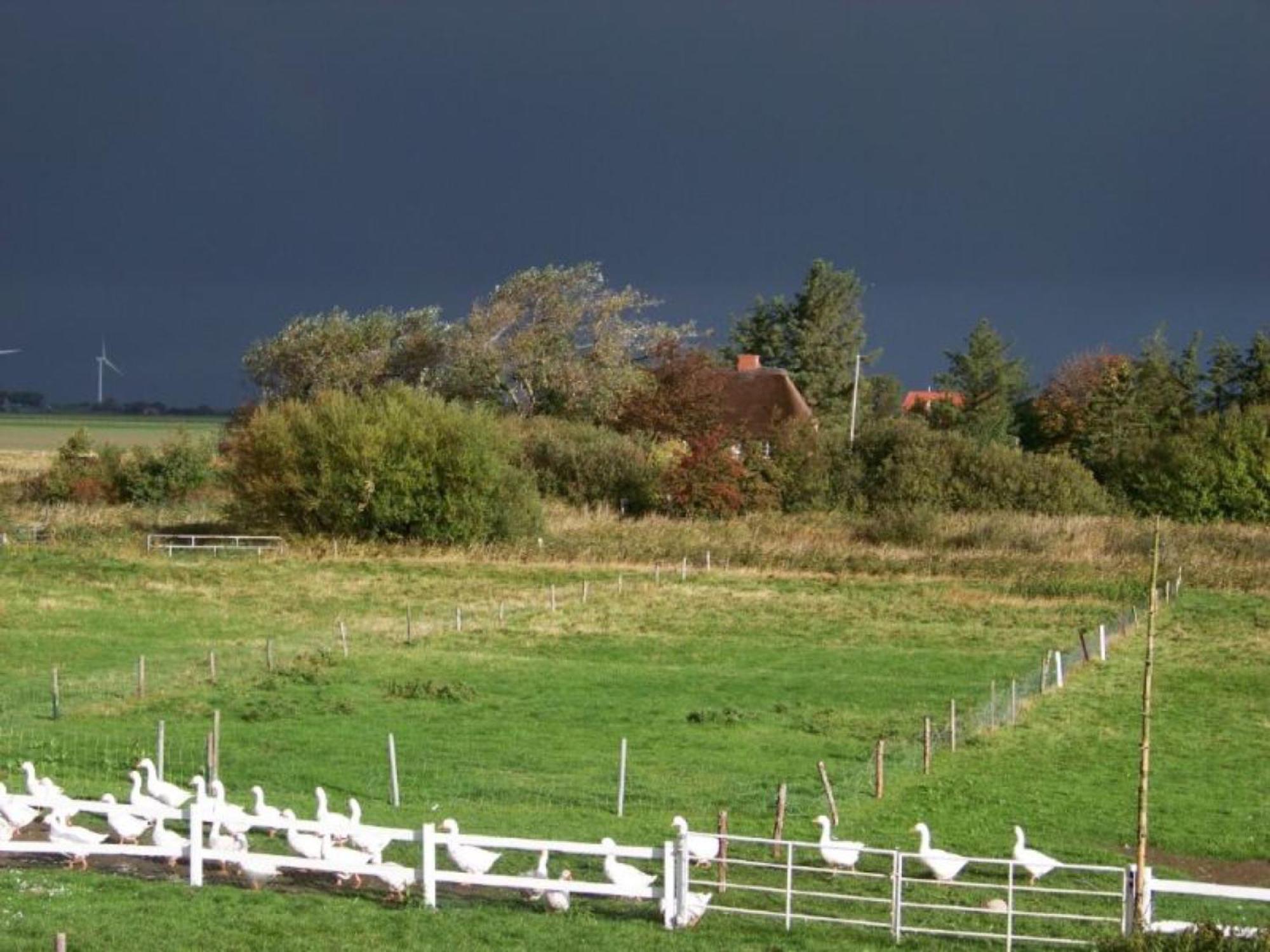 Pörksenhof