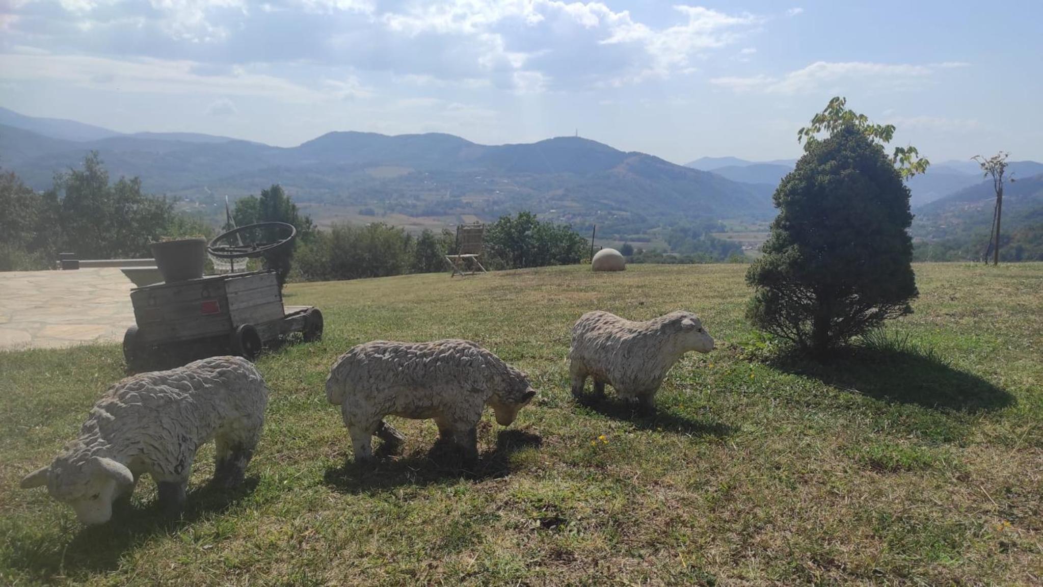 Dušanovac Panorama House - veliko dvoriste, 2 rostilja, pogled na Rasku