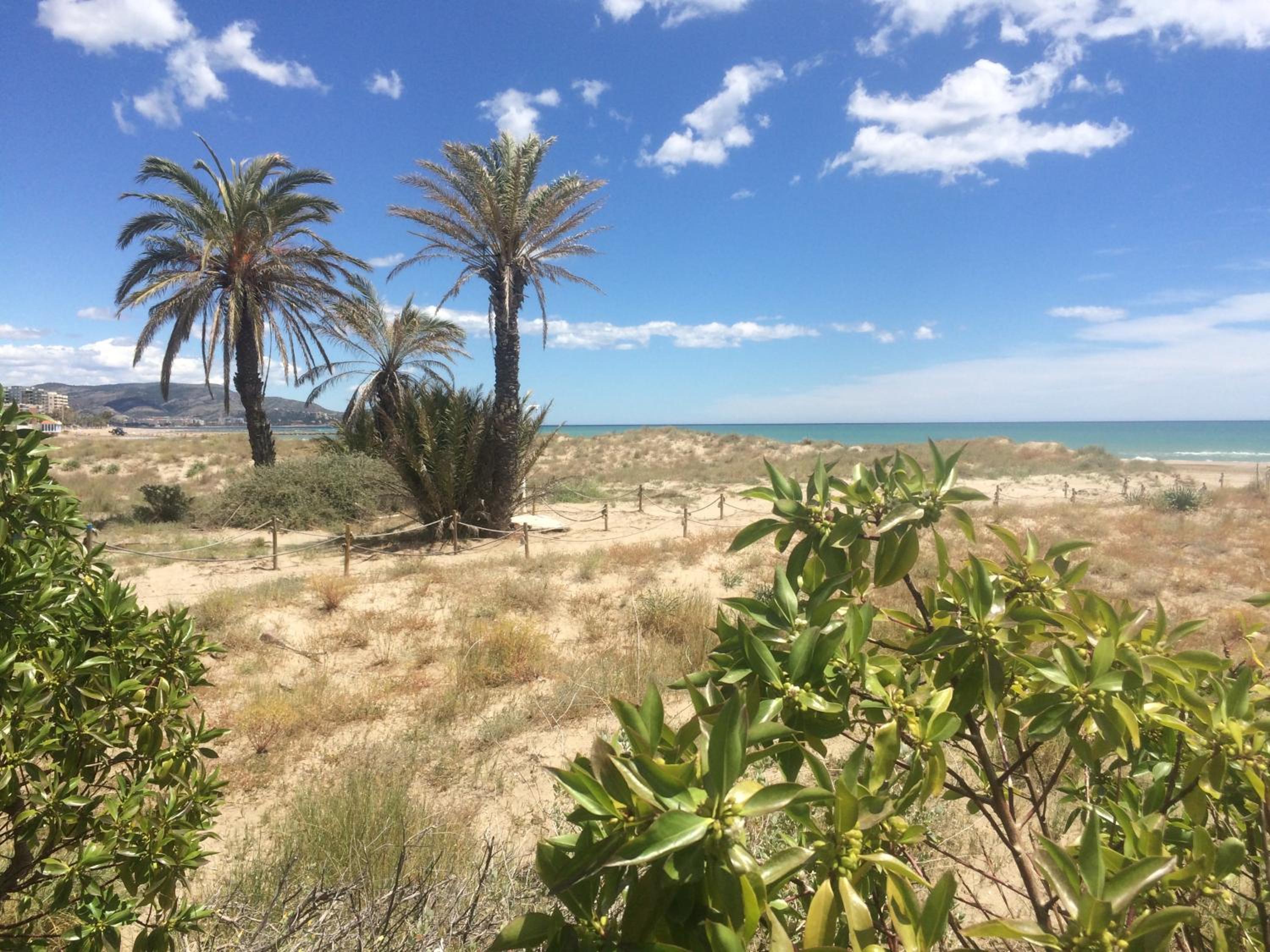 Las Minvas Playa