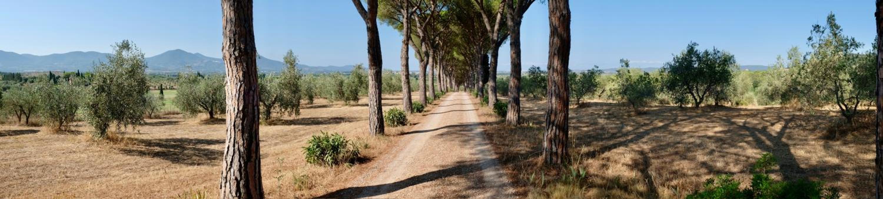 Villa Pelagone