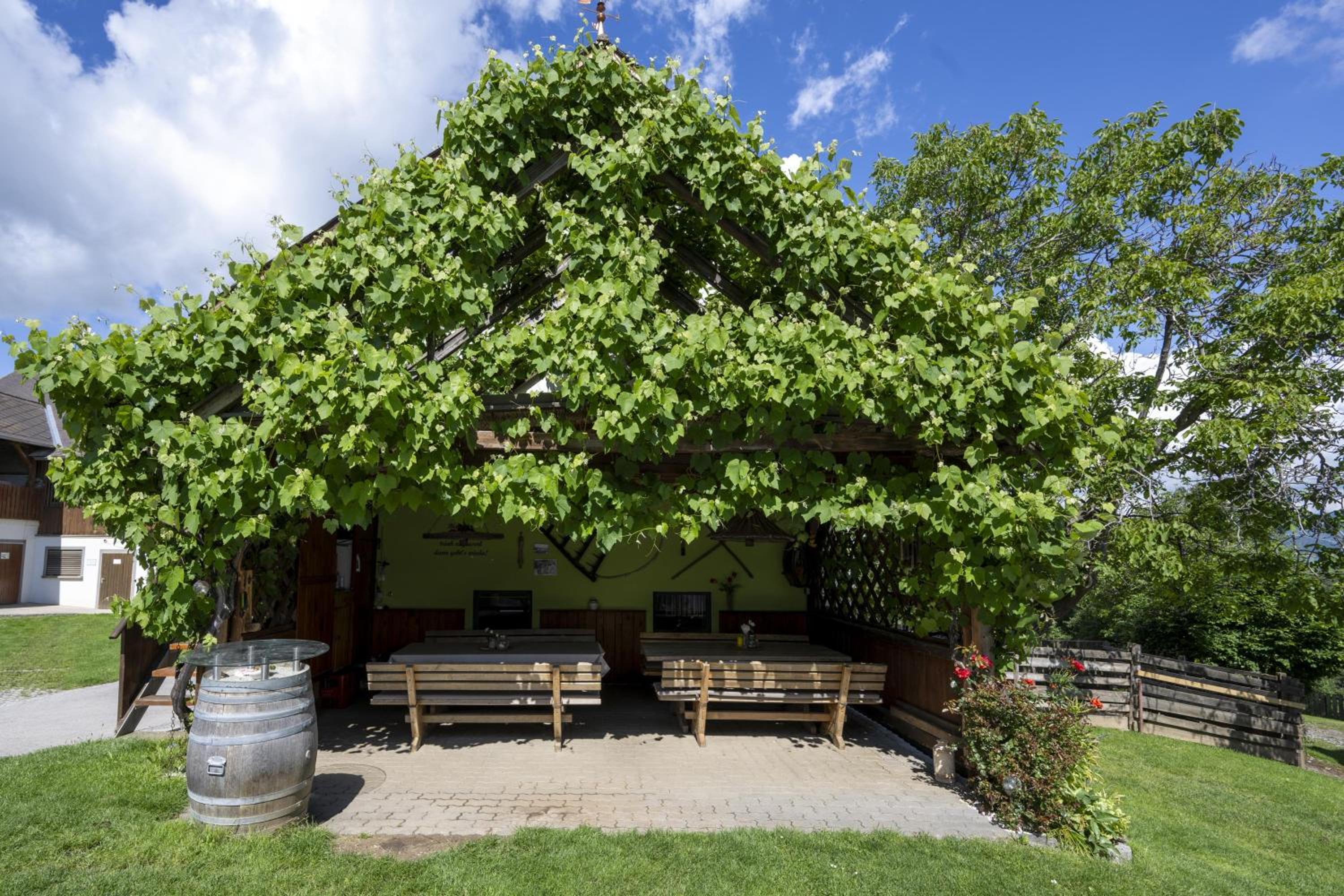 Erlebnishof König-Kober