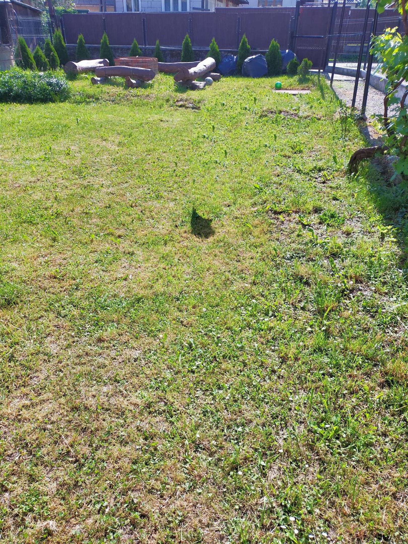 Photo 48
