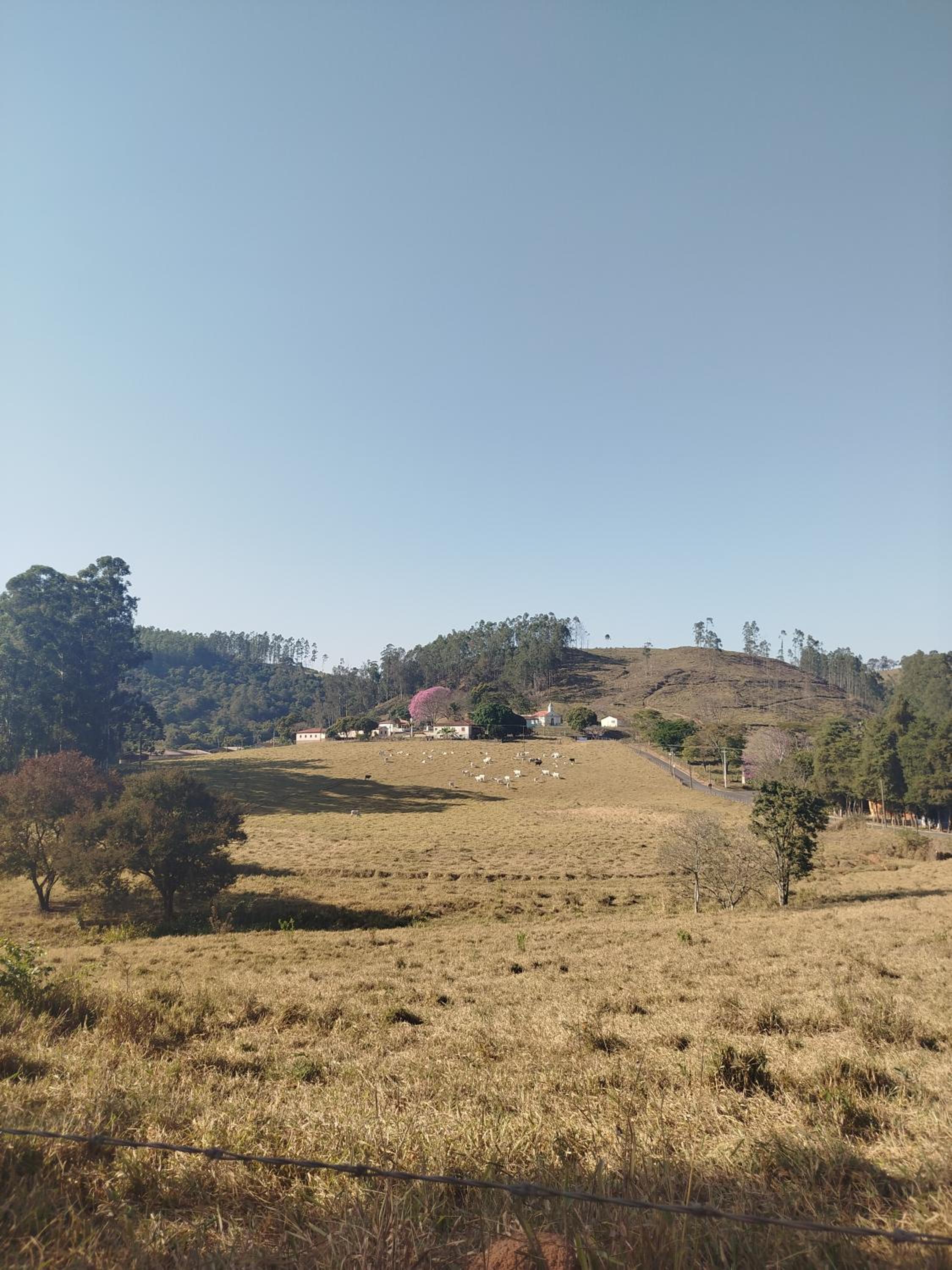 Rancho Portão da Mata