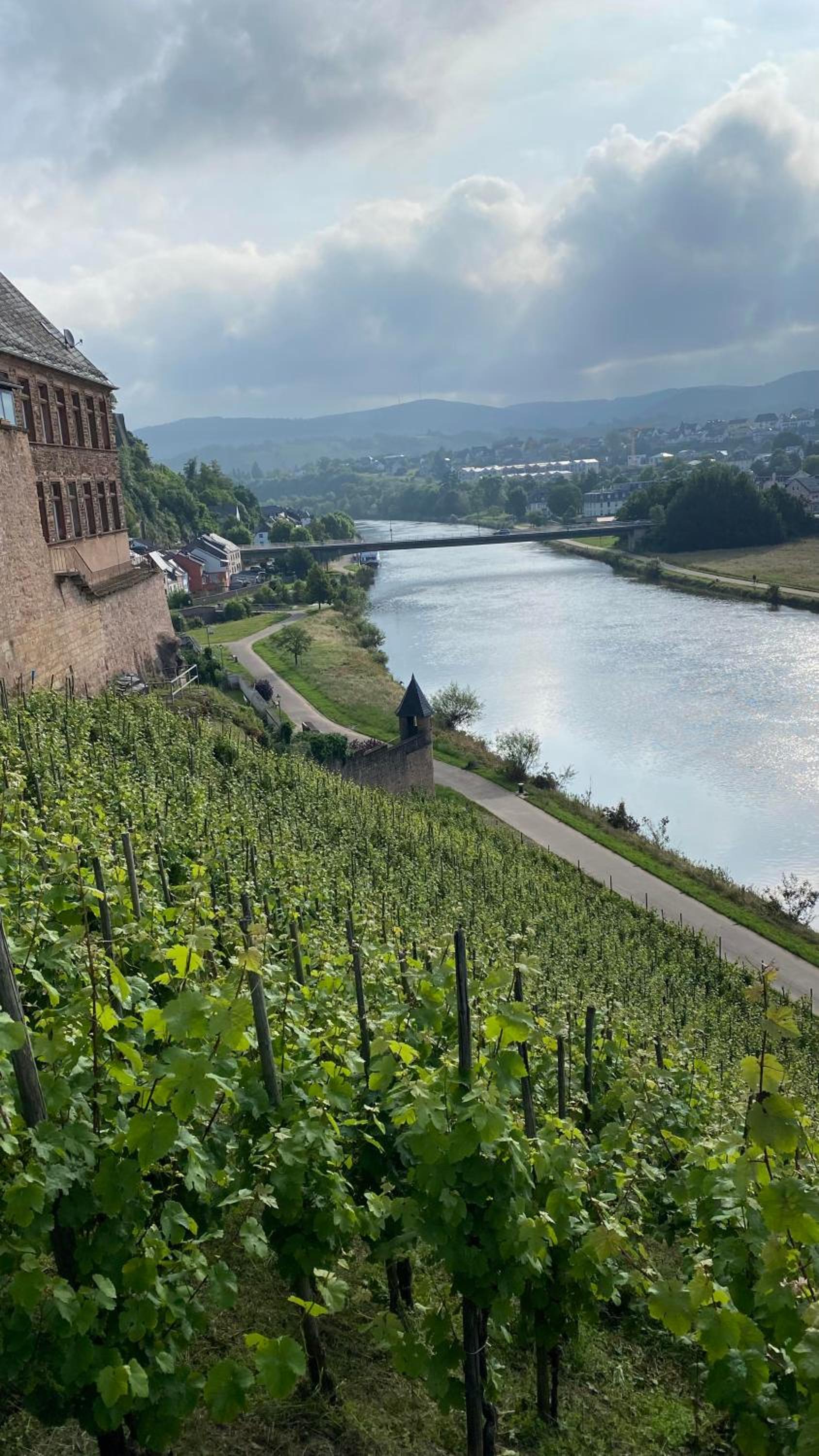 Weingut Dr Wagner