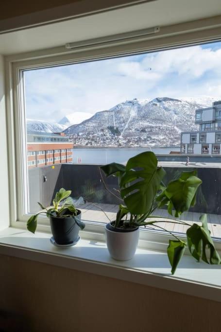 The Penthouse view 5