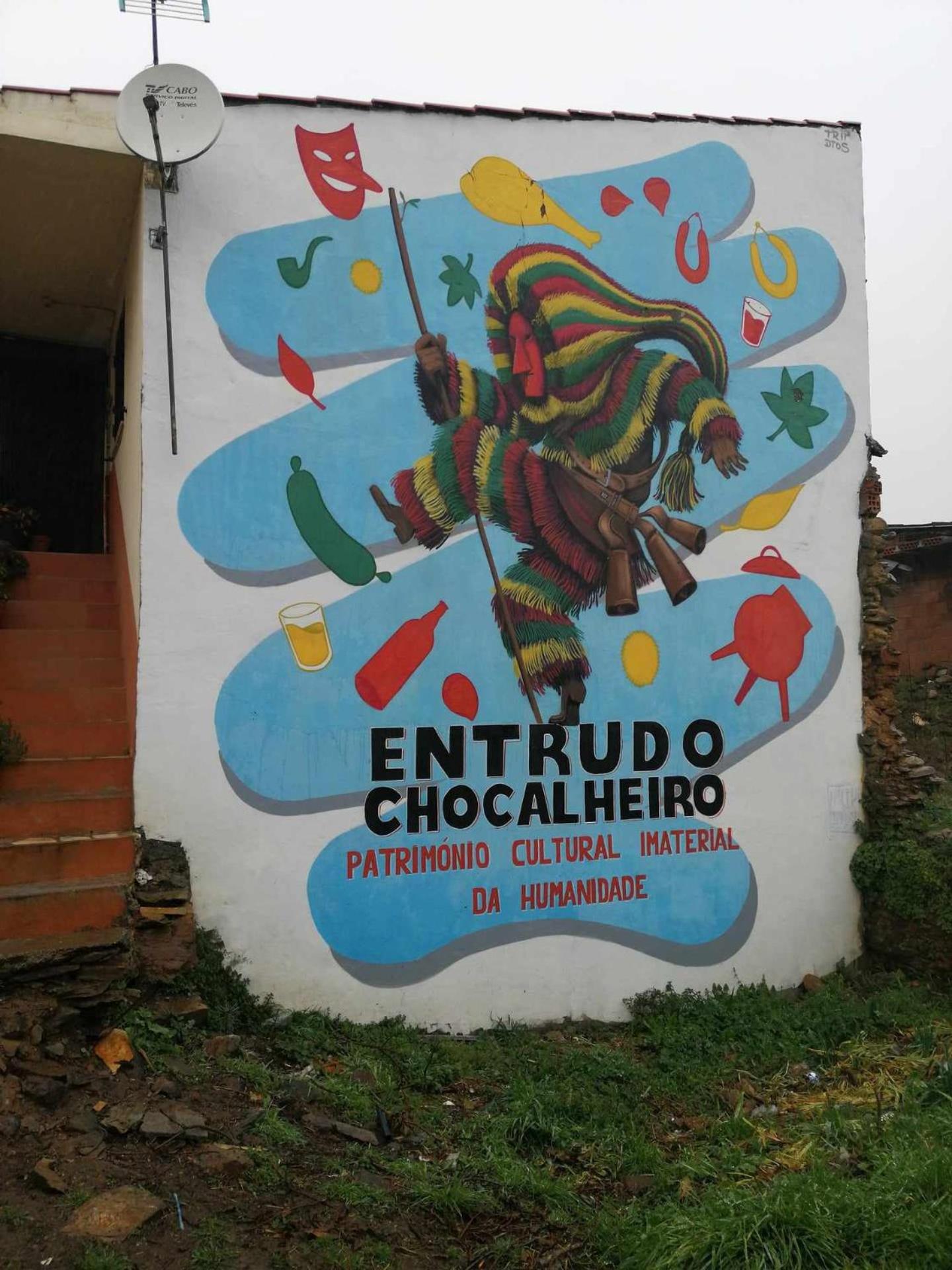 Photo 48