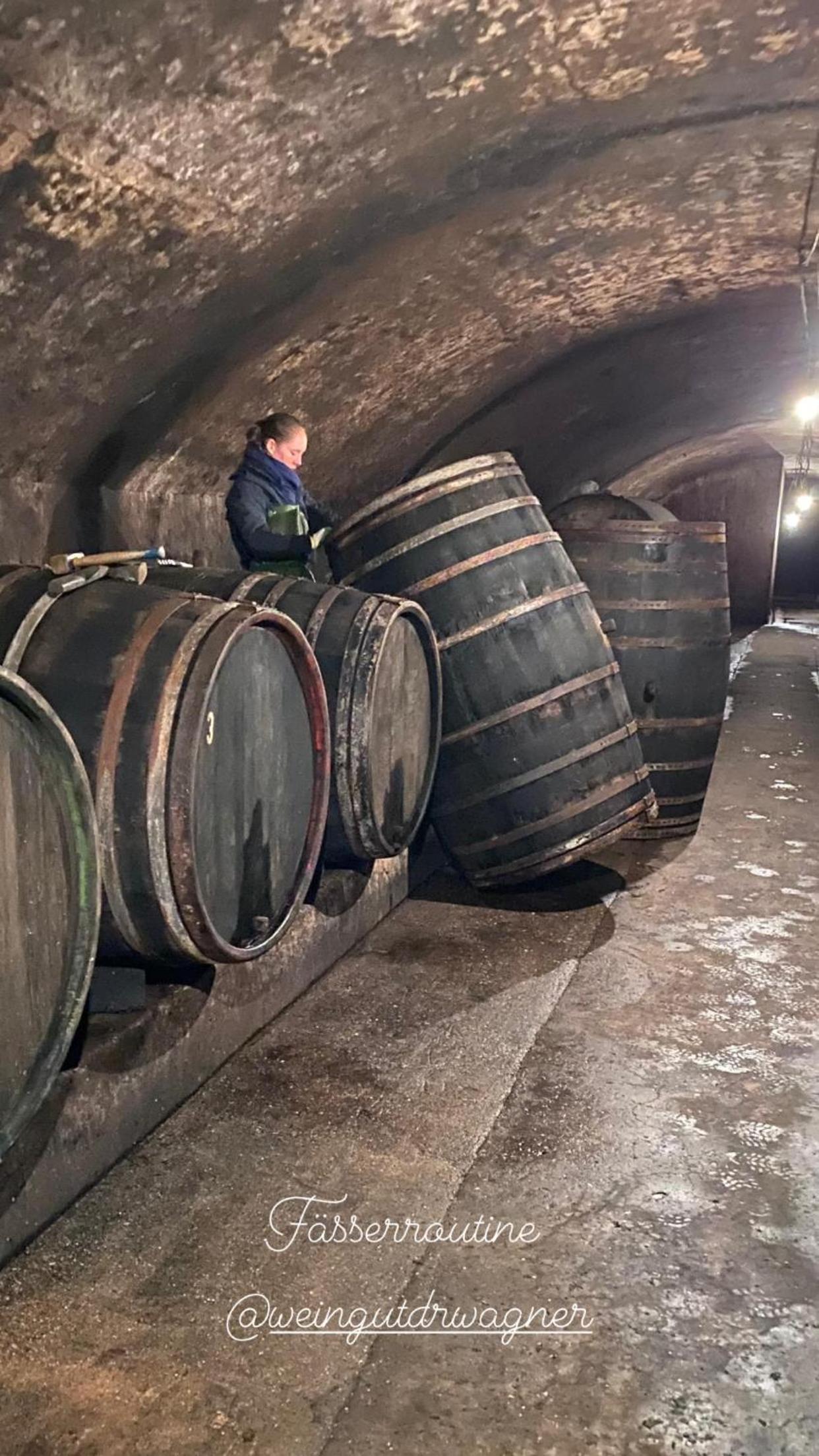 Weingut Dr Wagner
