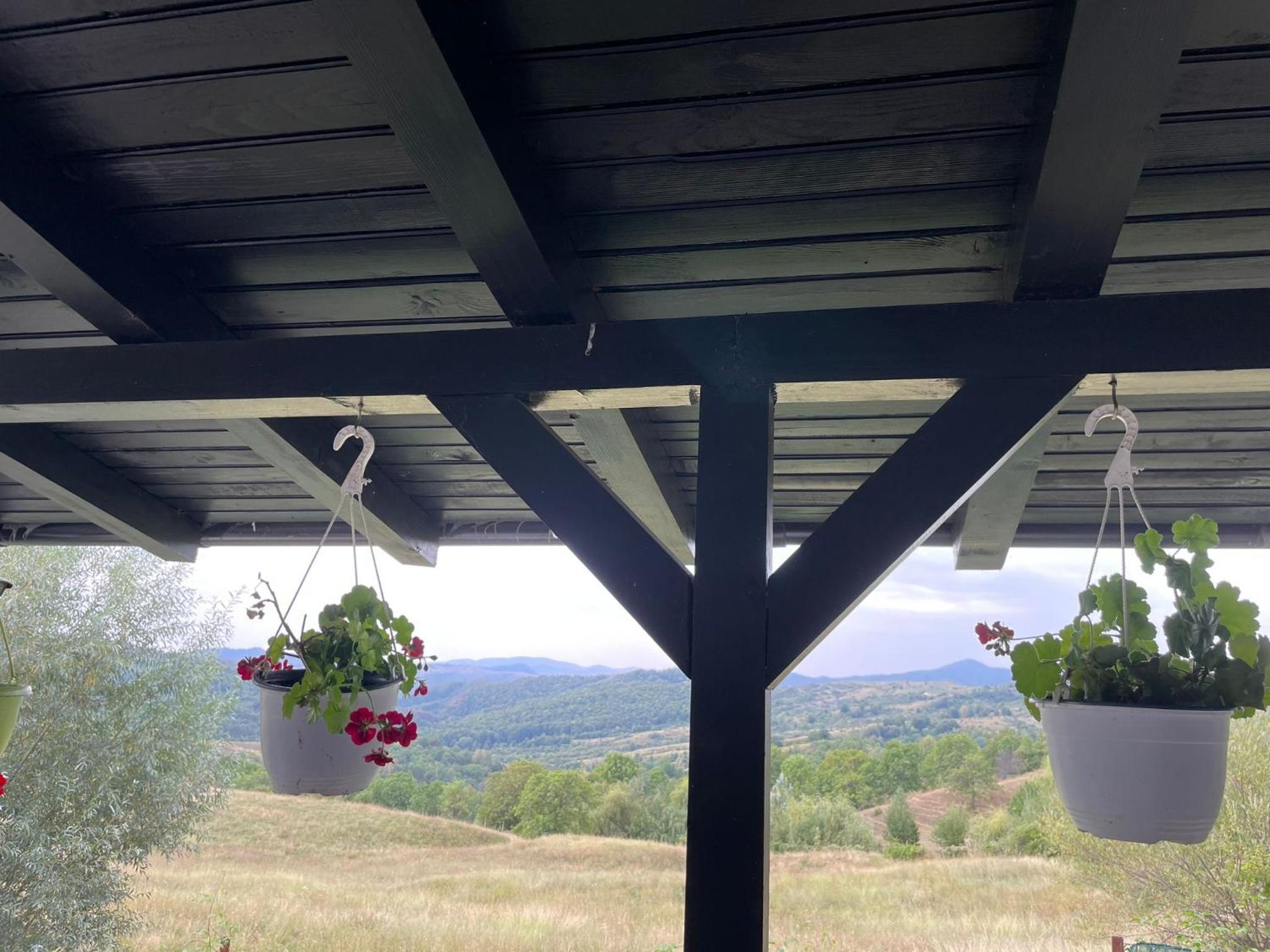 Cabana Talea Residence Prahova