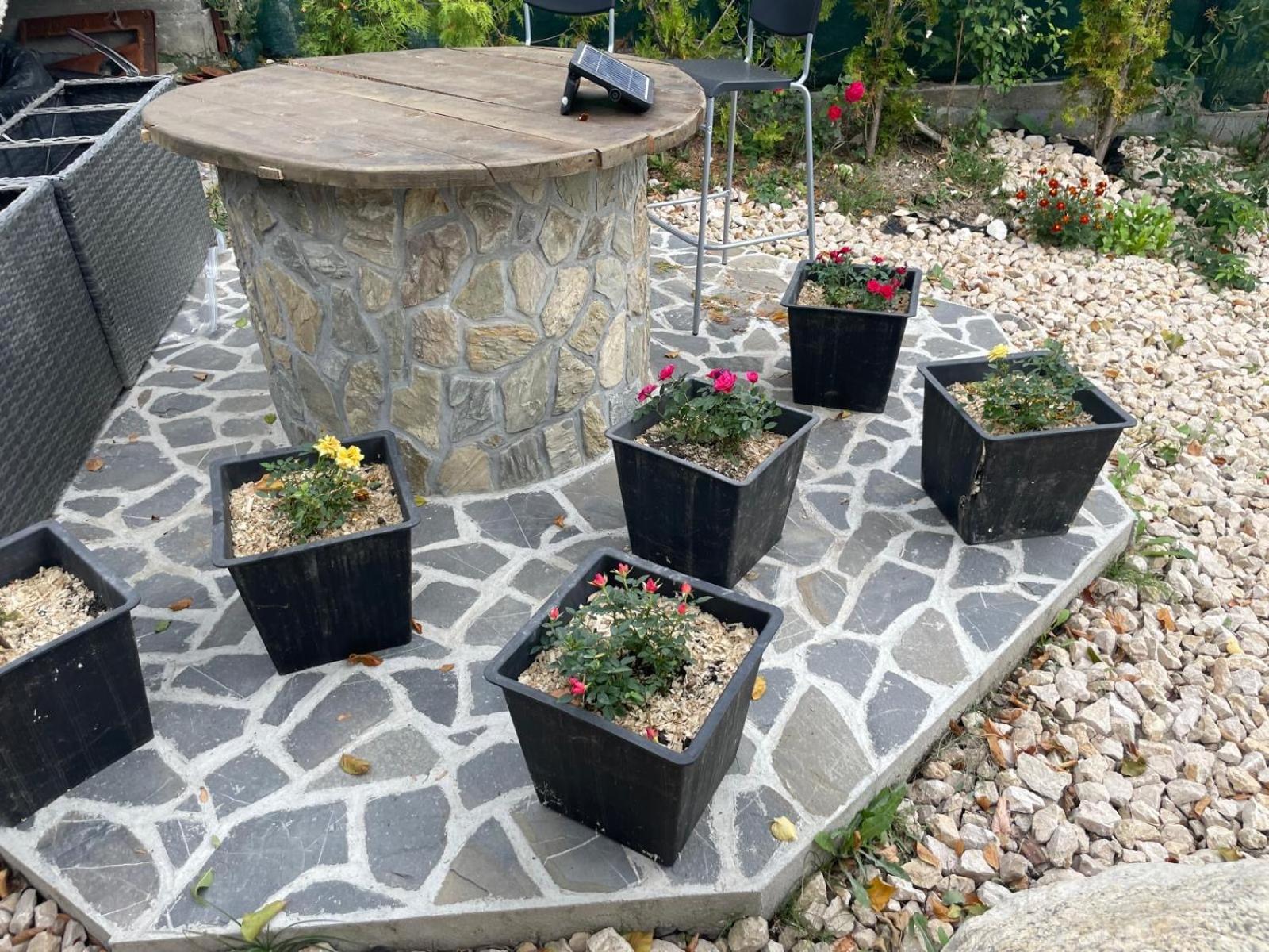 Cabana Talea Residence Prahova