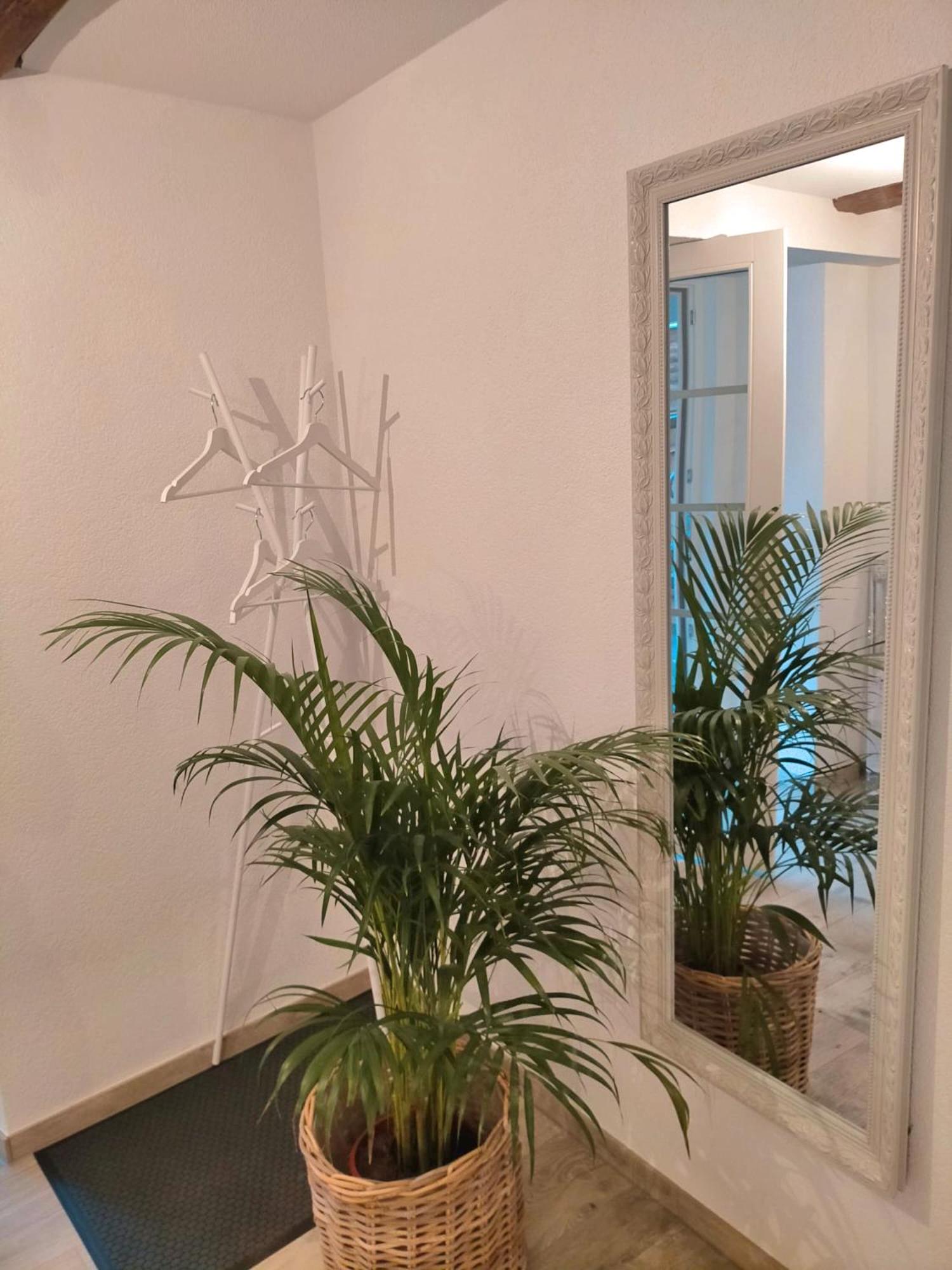 Interlaken 20min mit privater Quelle