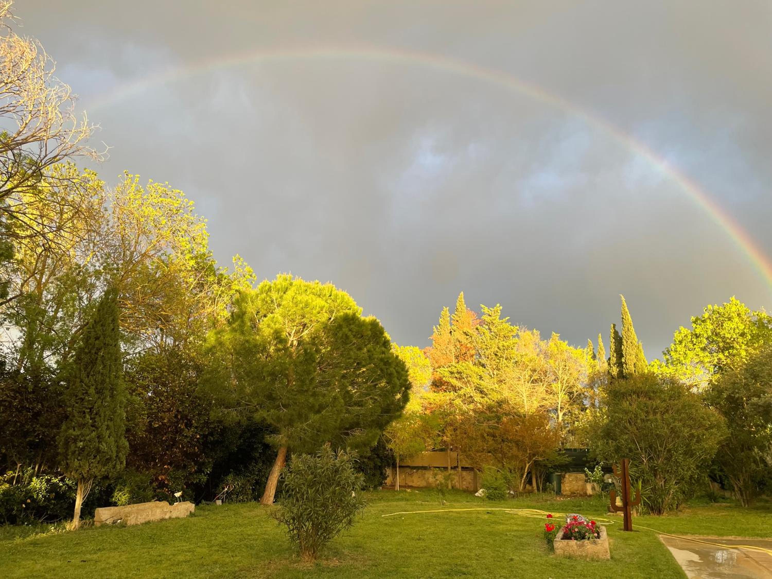 Le Jardin de LaCoste view 5
