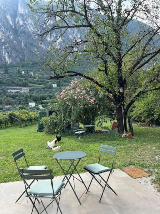 La Casa nella Vigna