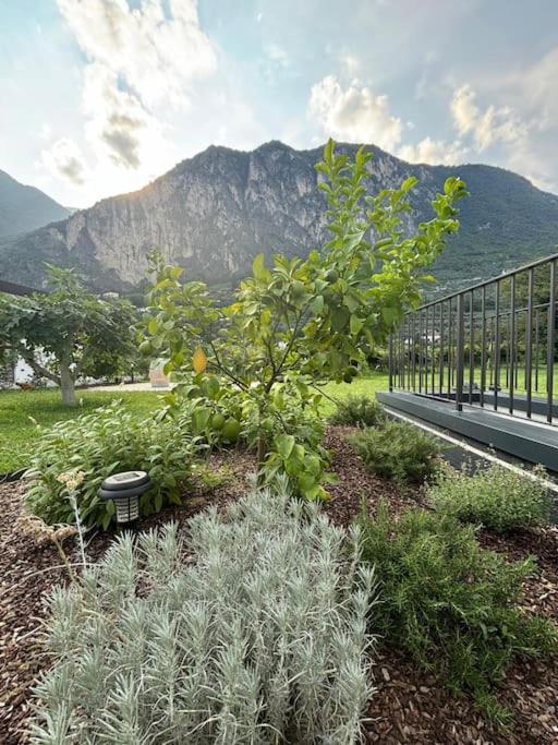 La Casa nella Vigna