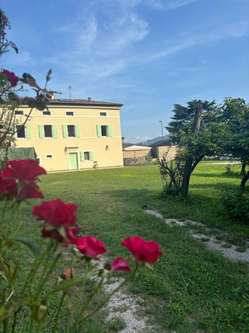 La Casa nella Vigna