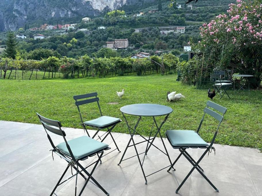 La Casa nella Vigna