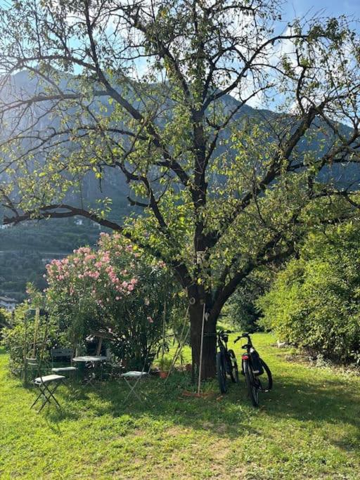 La Casa nella Vigna