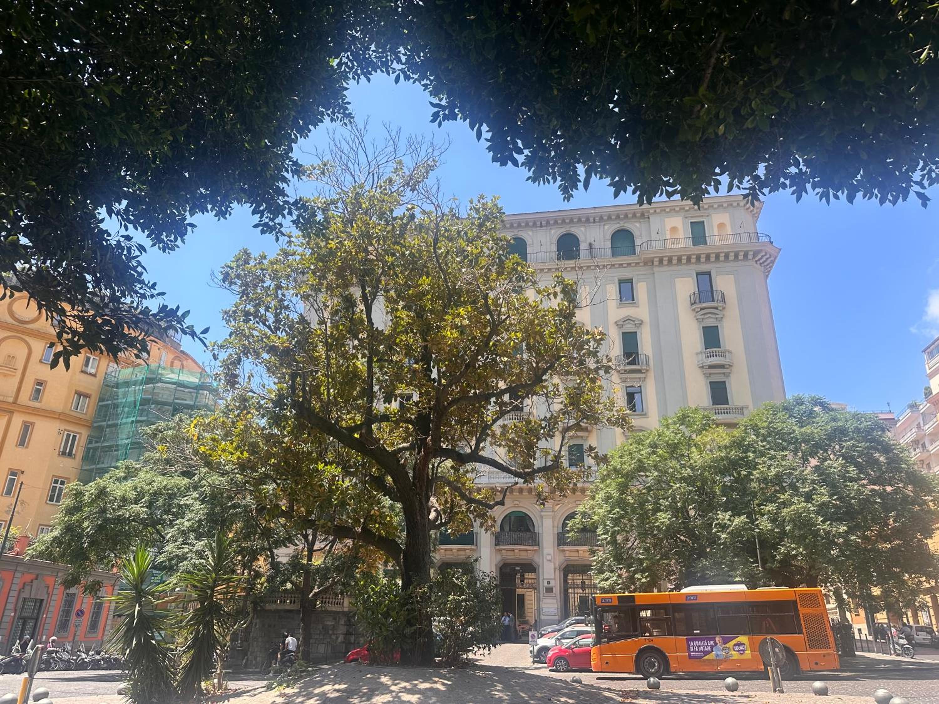 building