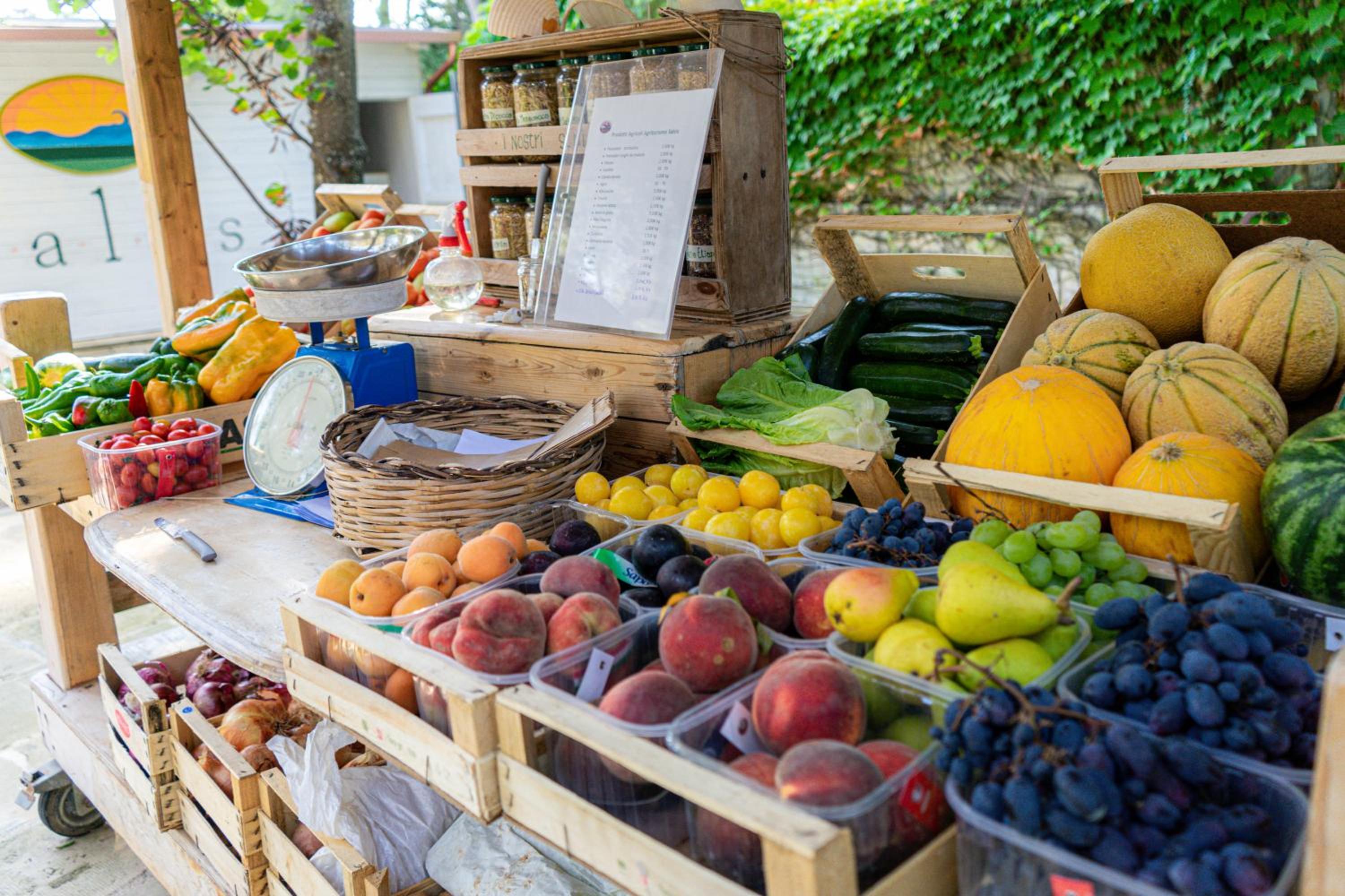 Bio Agriturismo Salos photo 3