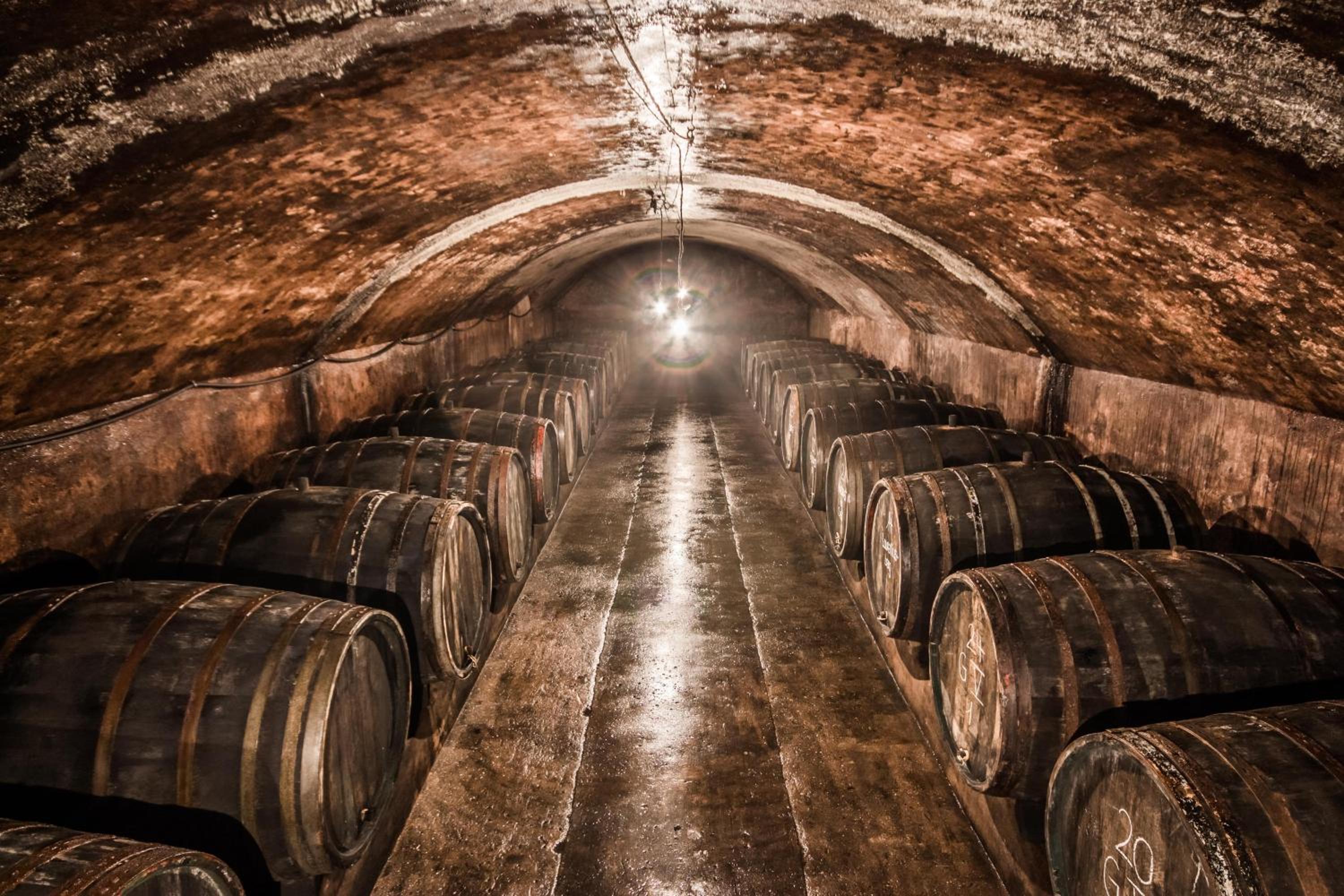 Weingut Dr Wagner