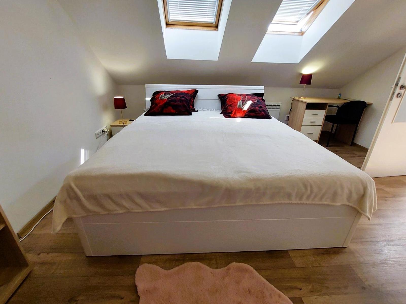 Charming Apartment in Historic City Center 40 m