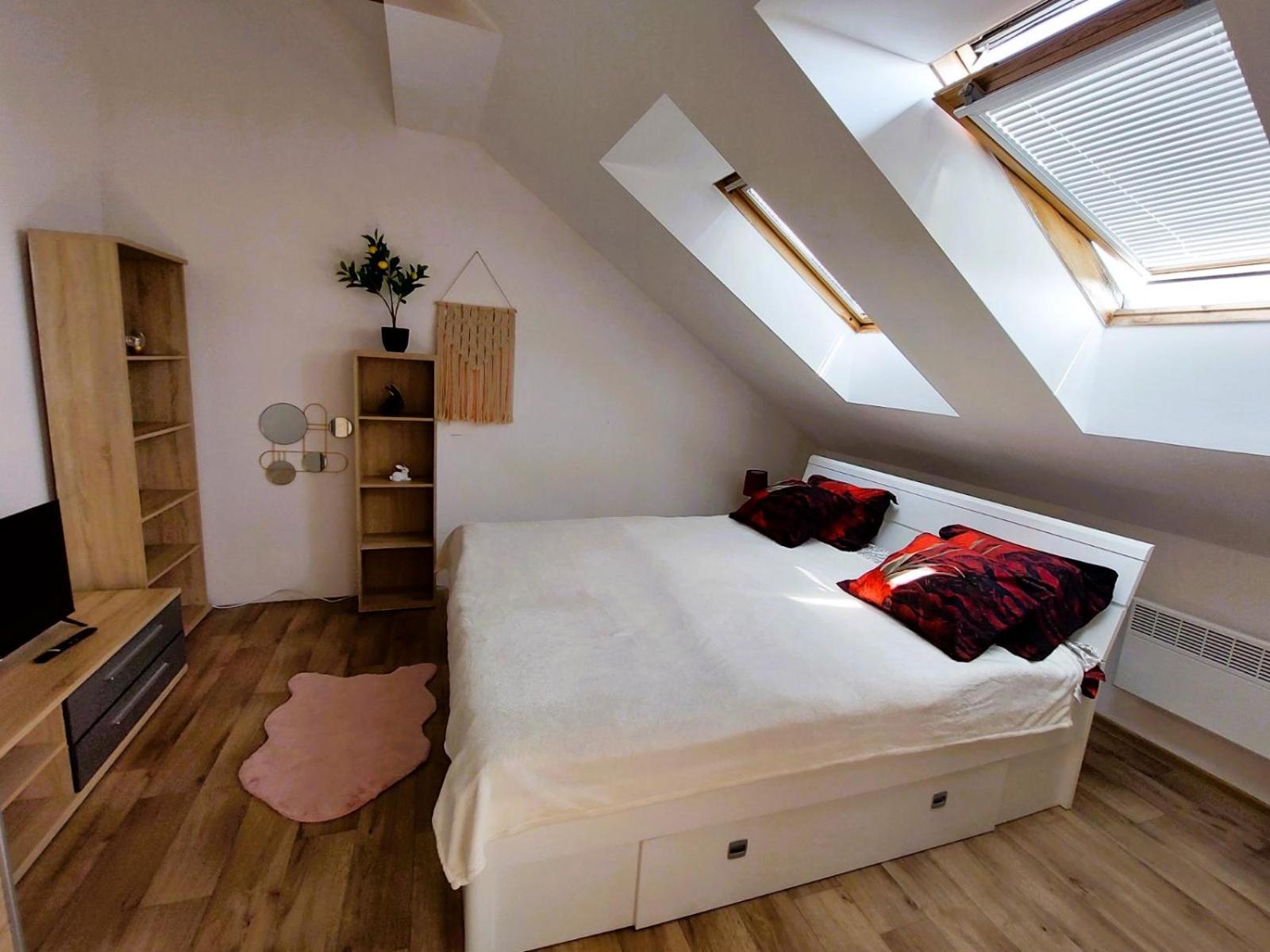 Charming Apartment in Historic City Center 40 m