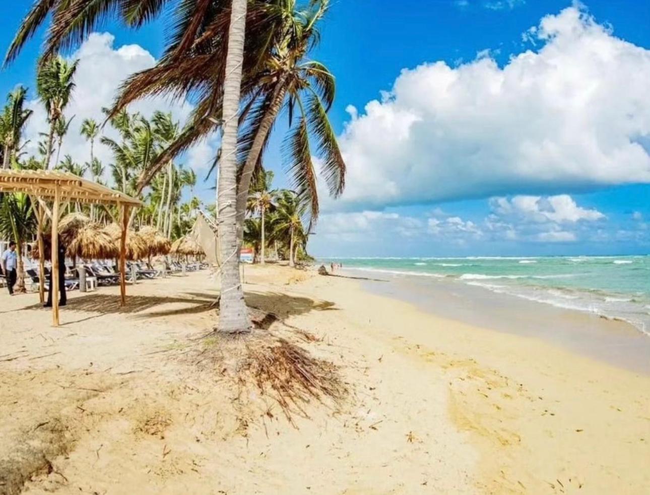 Playa Palmera Ocean View