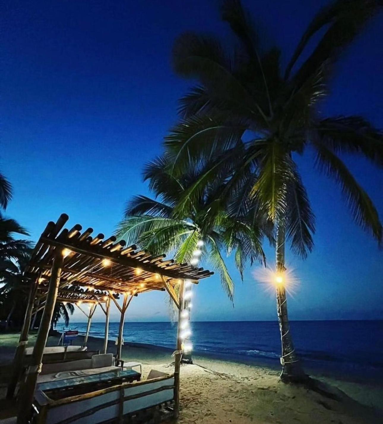 Playa Palmera Ocean View