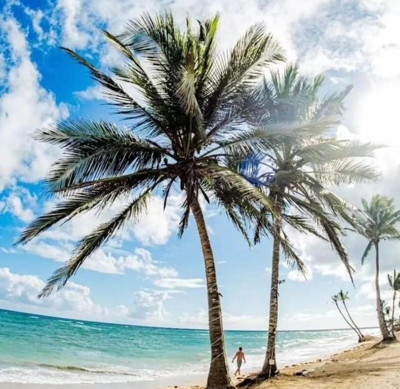 Playa Palmera Ocean View