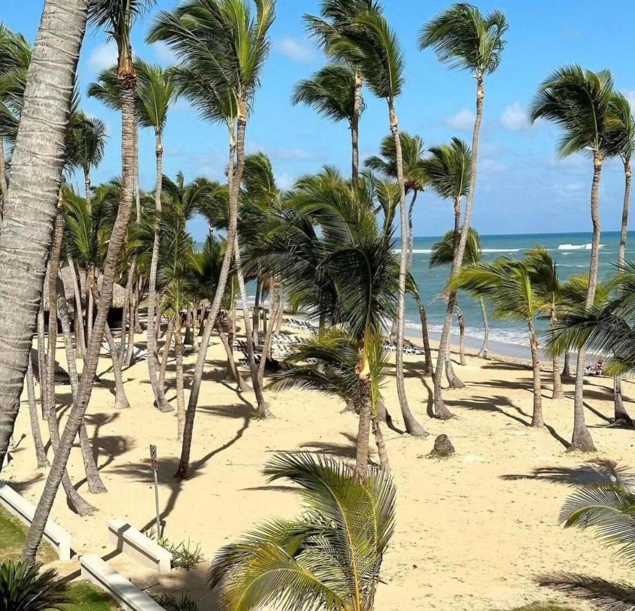 Playa Palmera Ocean View