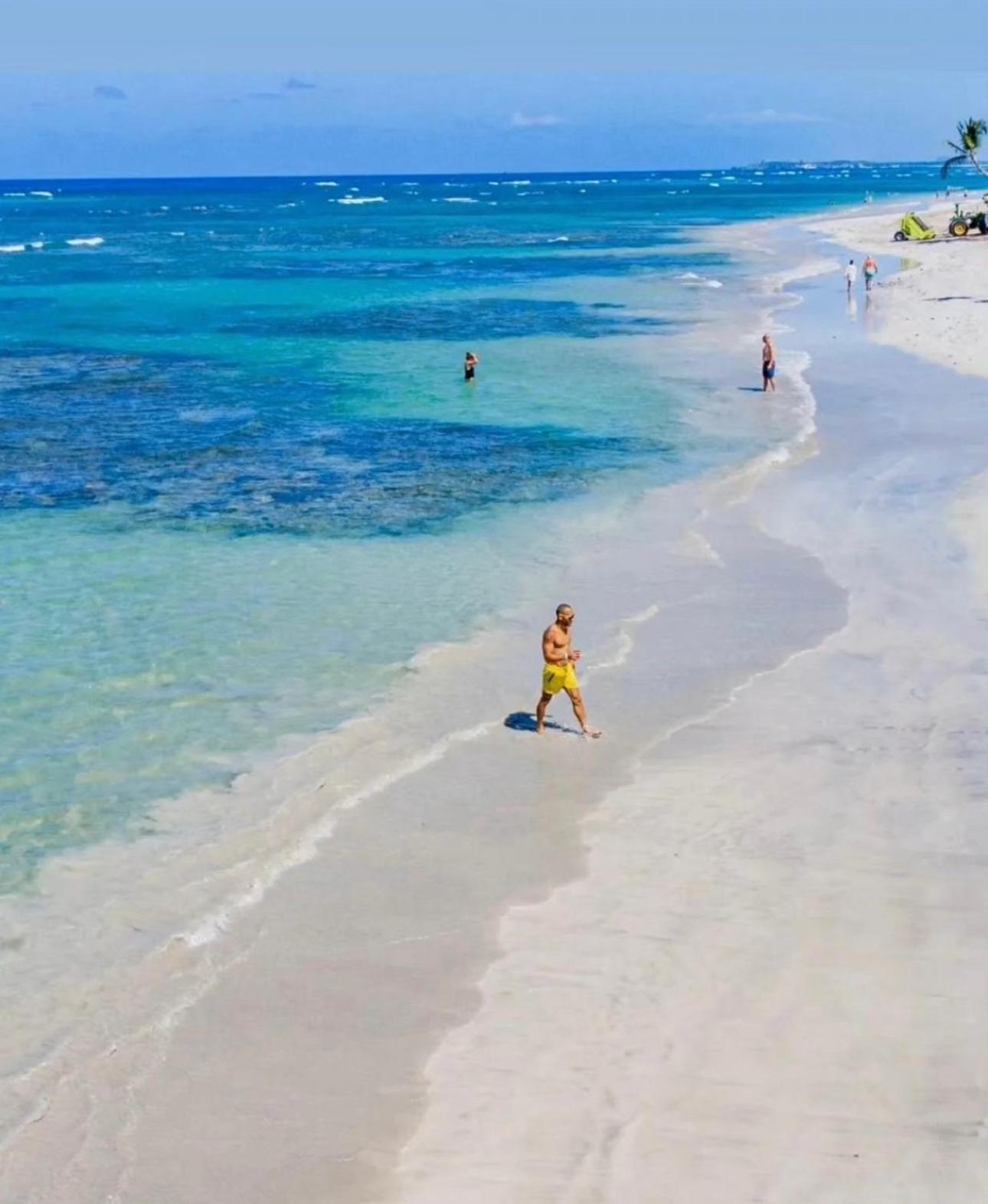 Playa Palmera Ocean View