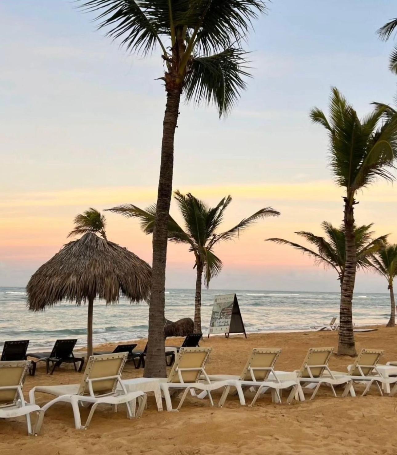 Playa Palmera Ocean View