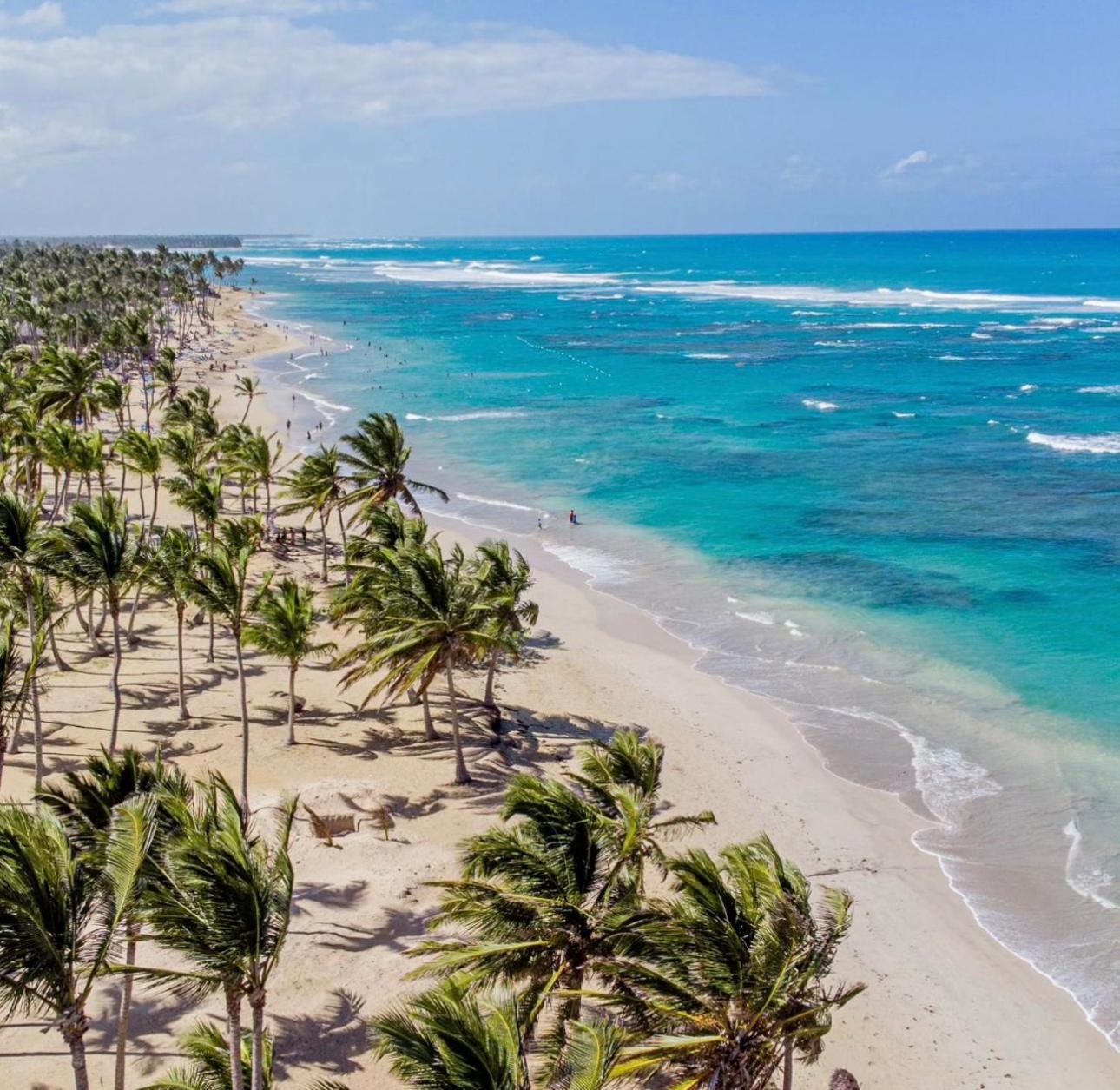Playa Palmera Ocean View