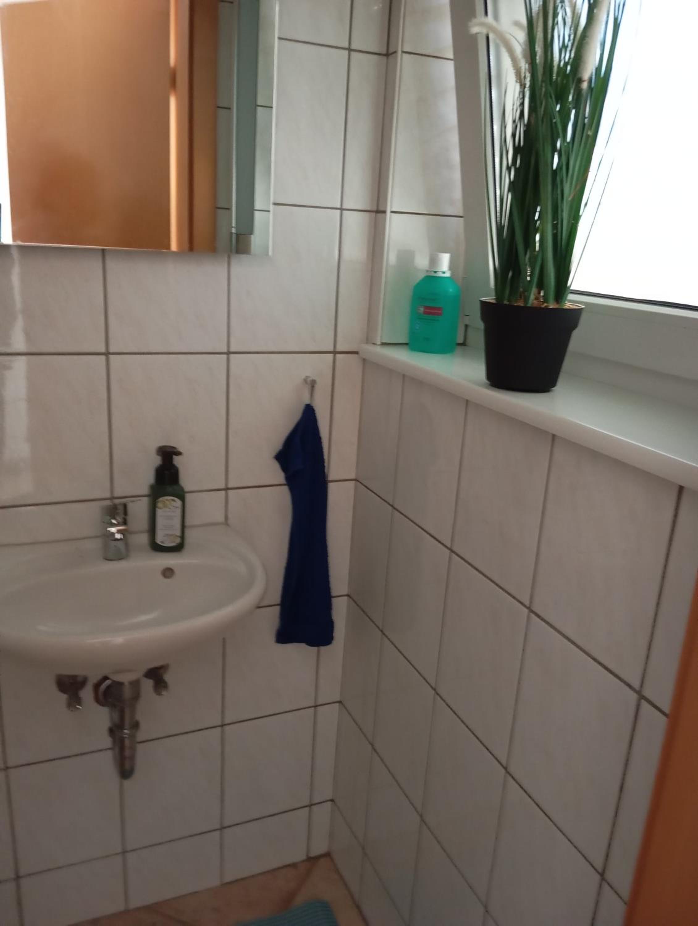 Haus Schwarzwaldblick