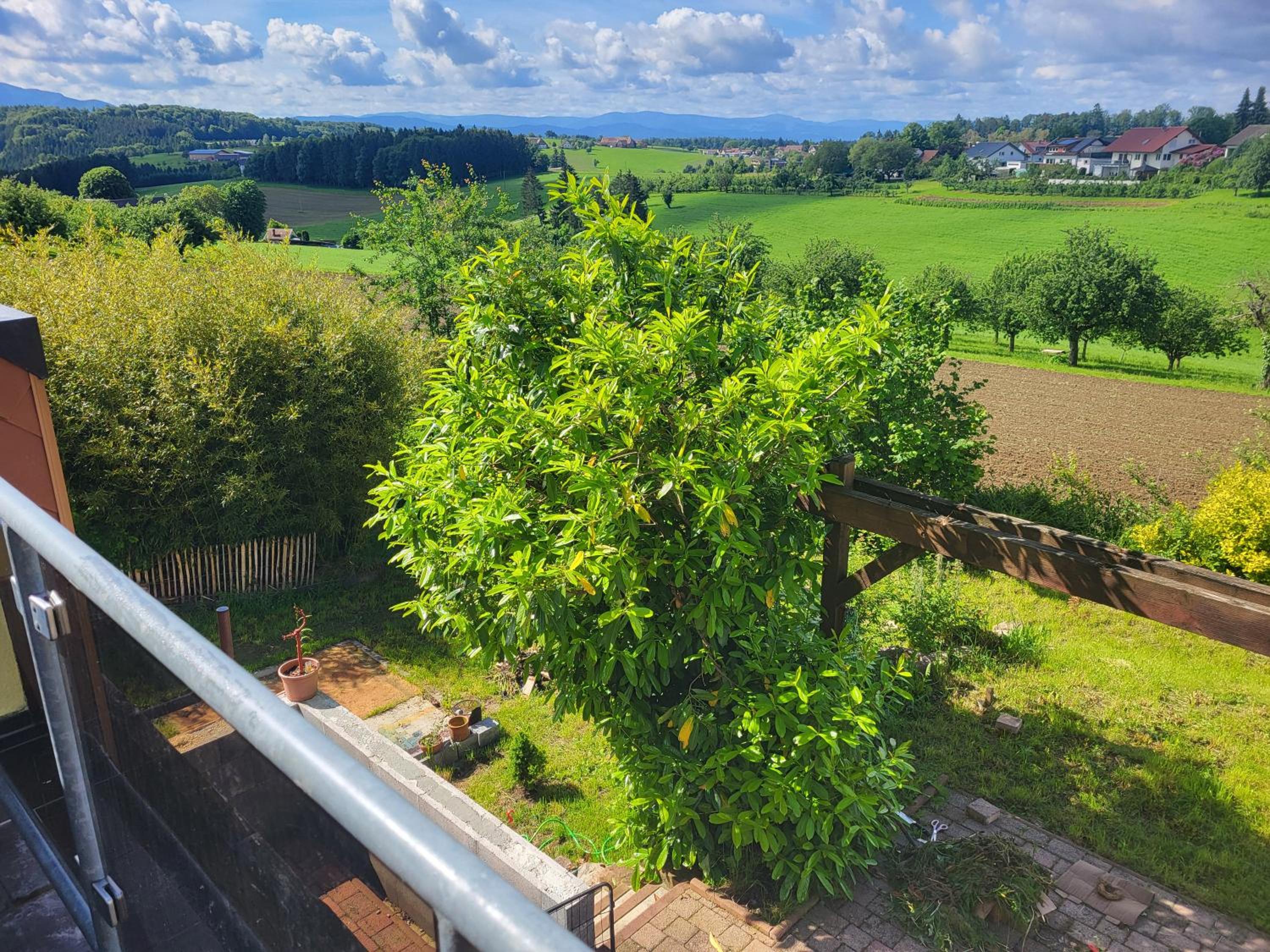 Haus Schwarzwaldblick