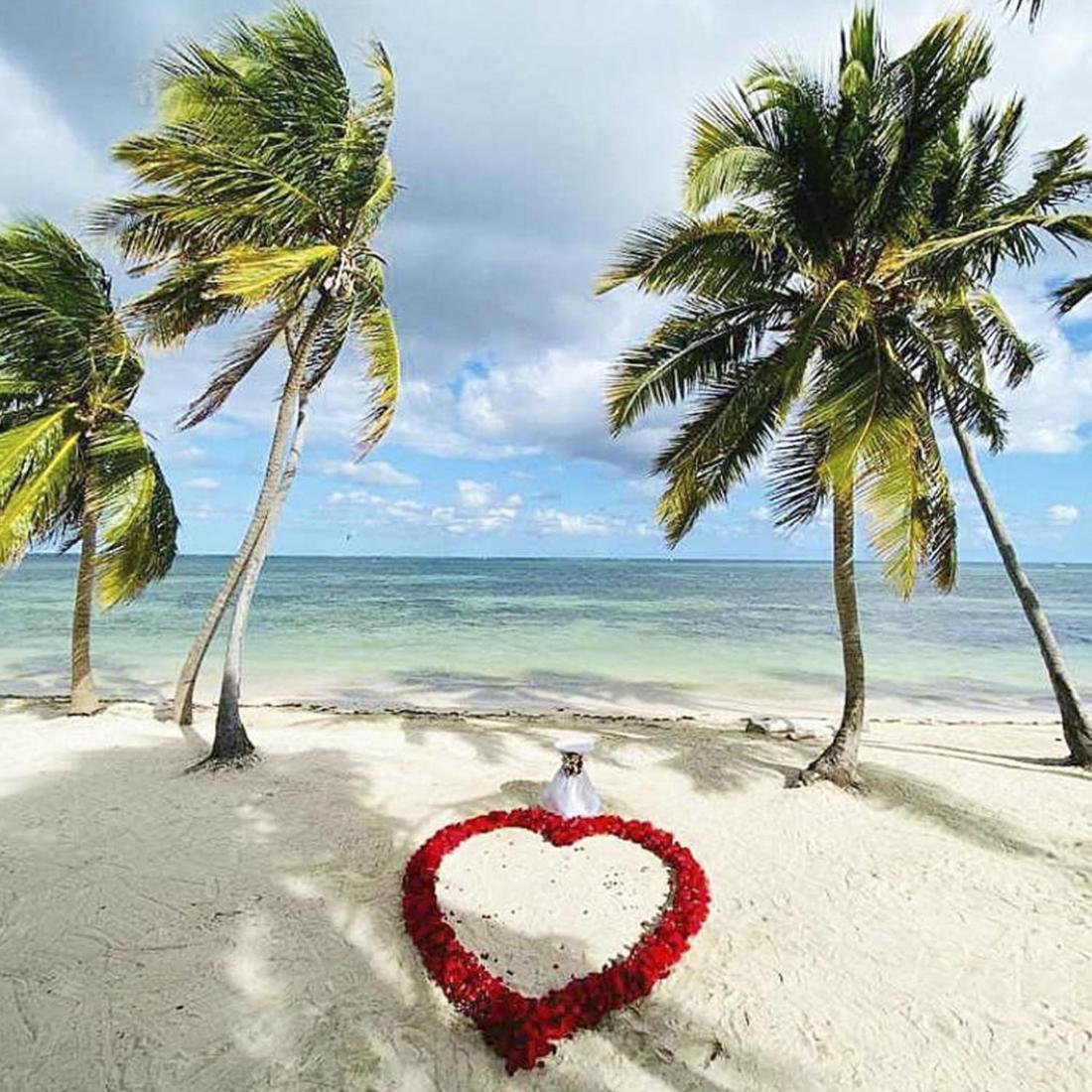 Playa Palmera Ocean View
