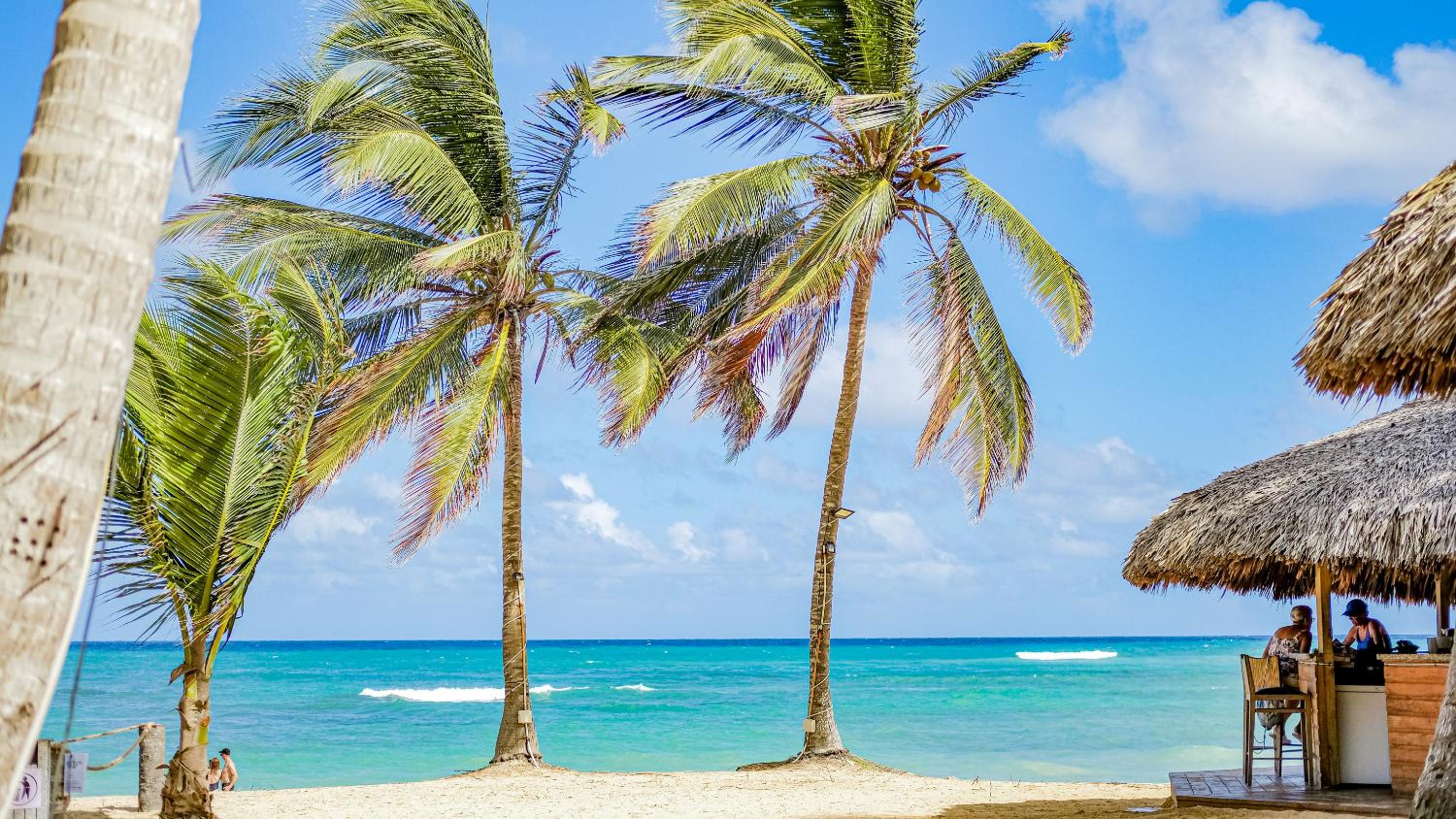 Playa Palmera Ocean View
