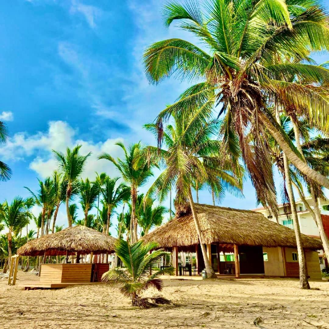 Playa Palmera Ocean View