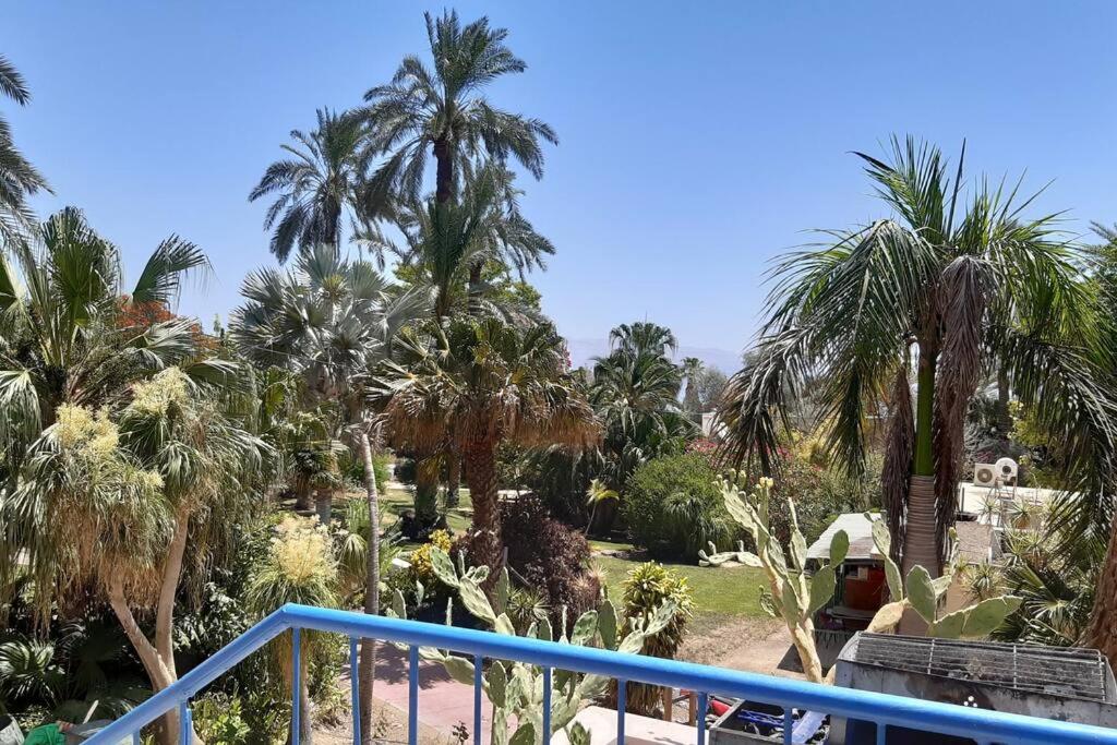 Patricia & Eilam house view 2