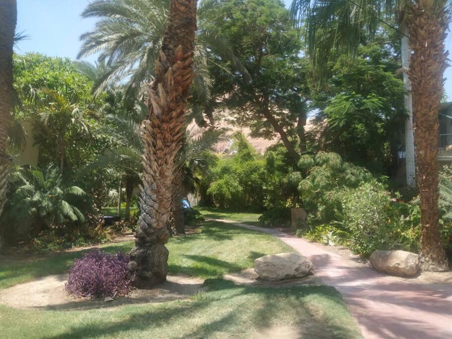 Patricia & Eilam house view 5