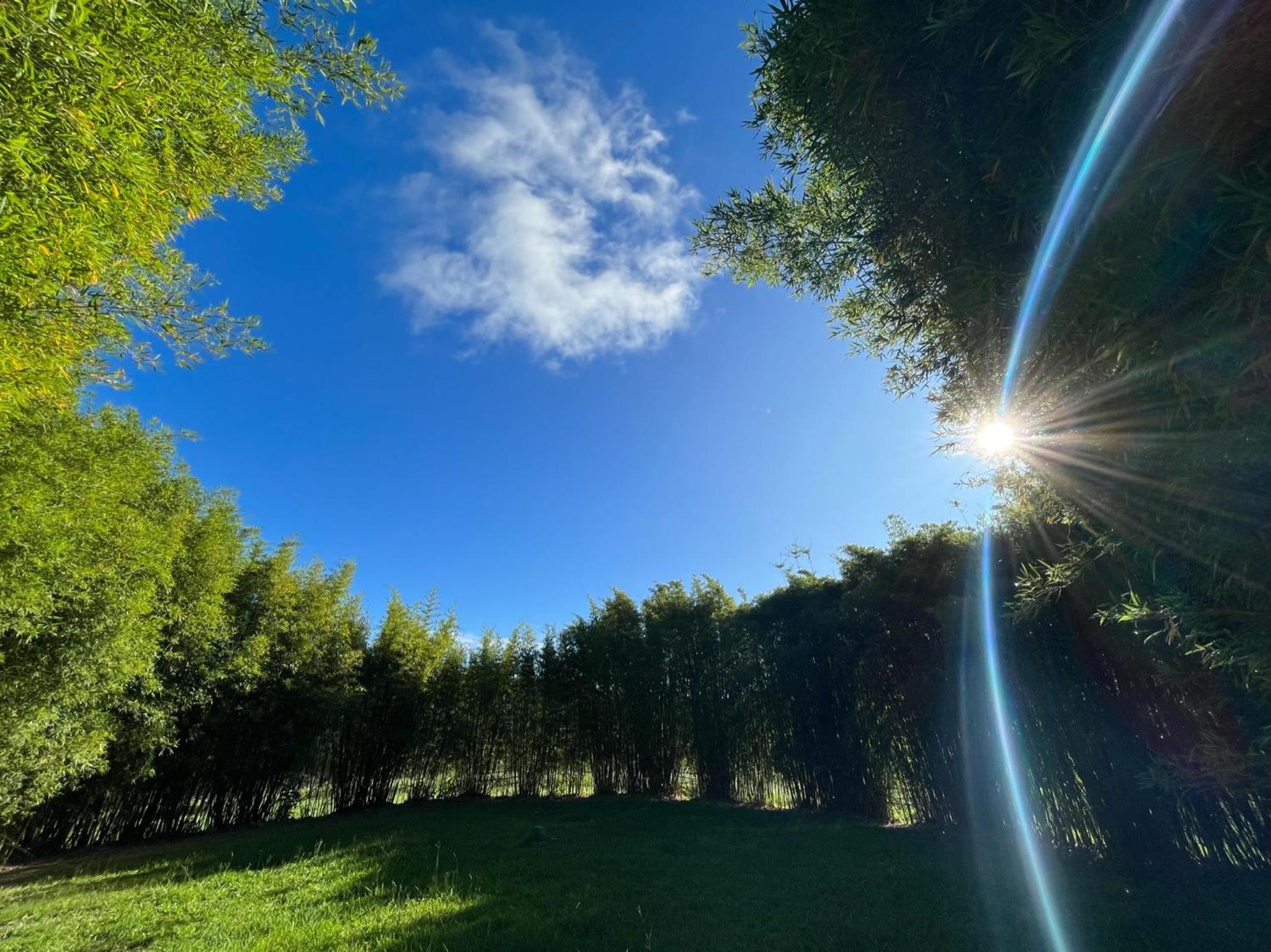 Fazenda Catuçaba