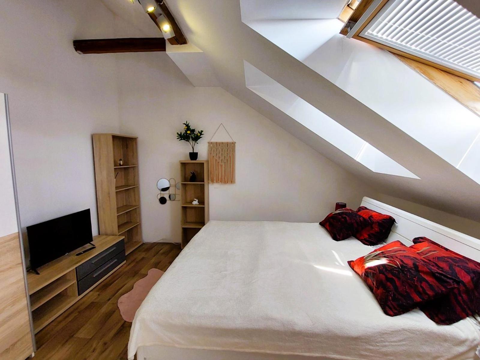 Charming Apartment in Historic City Center 40 m