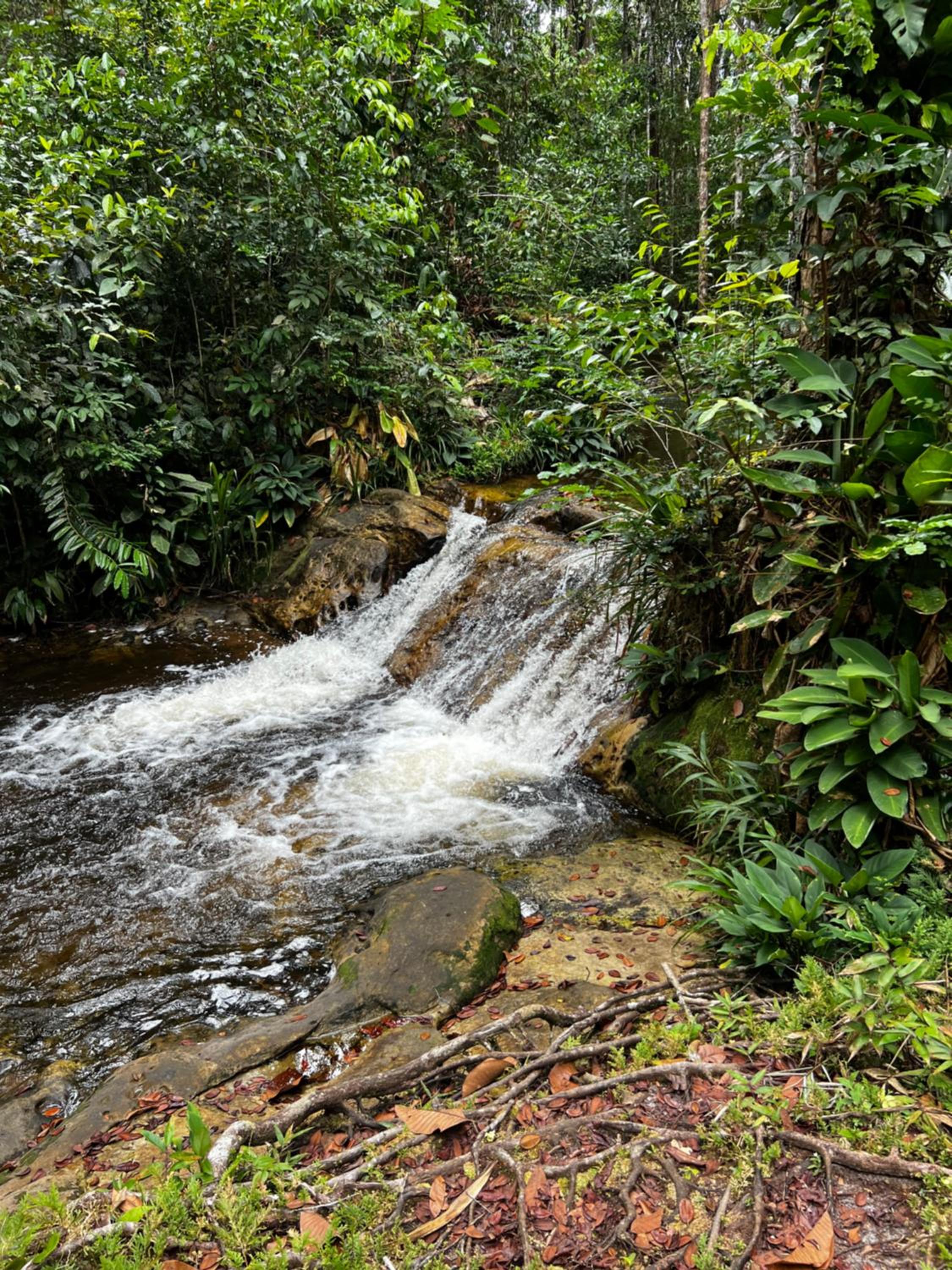 Pousada Paraíso do Calango Azul